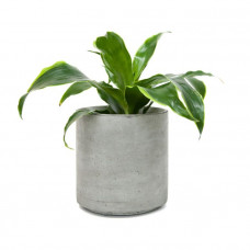 Кашпо из бетона Cylinder 155 Flower pots-114_4220438