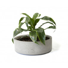Cylinder 95 Flower pots-114_4220437
