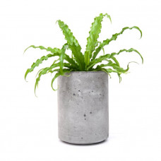 Кашпо из бетона Cylinder 205 Flower pots-114_4220439