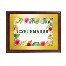 Плакетка 23х30 см, с нанесением на металлической пластине (глянцевая белая),  кожа-114_6950526