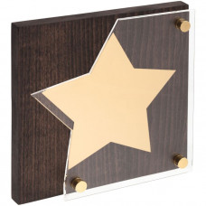 Награда Asteri Dark Gold, основа коричневая, звезда золотая-114_6960024
