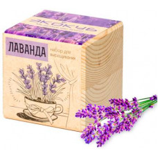 Набор для выращивания 'Экокуб. Лаванда'-114_1400059